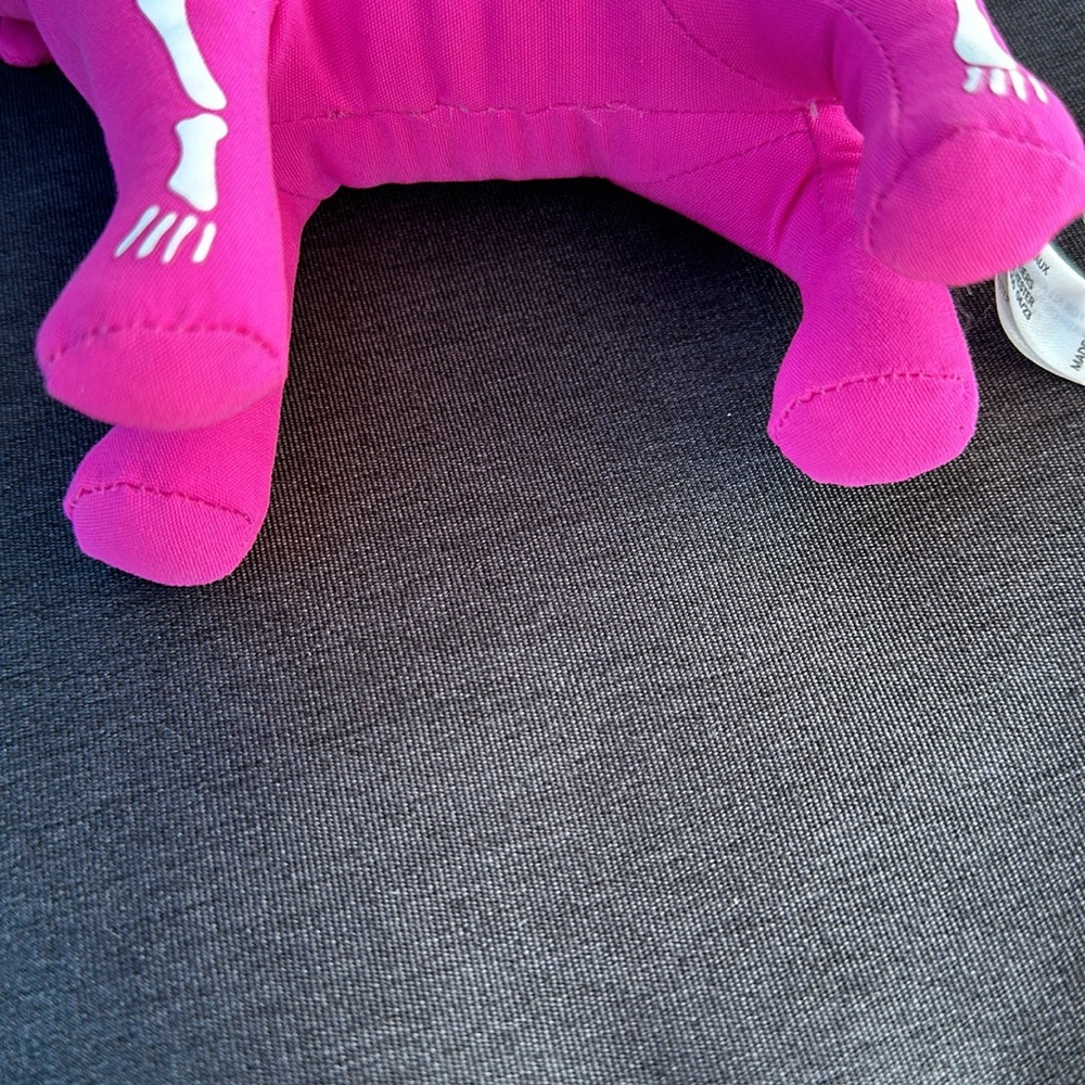 Pink skeleton - Picture 4 of 7